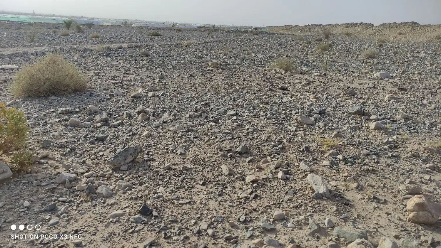 فروش نیم هکتار زمین کشاورزی|فروش دفتر صنعتی، کشاورزی، تجاری|عنبرآباد, |دیوار