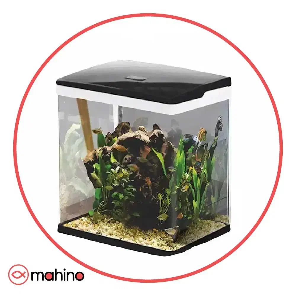 آکواریومk250|ماهی|برخوار, |دیوار