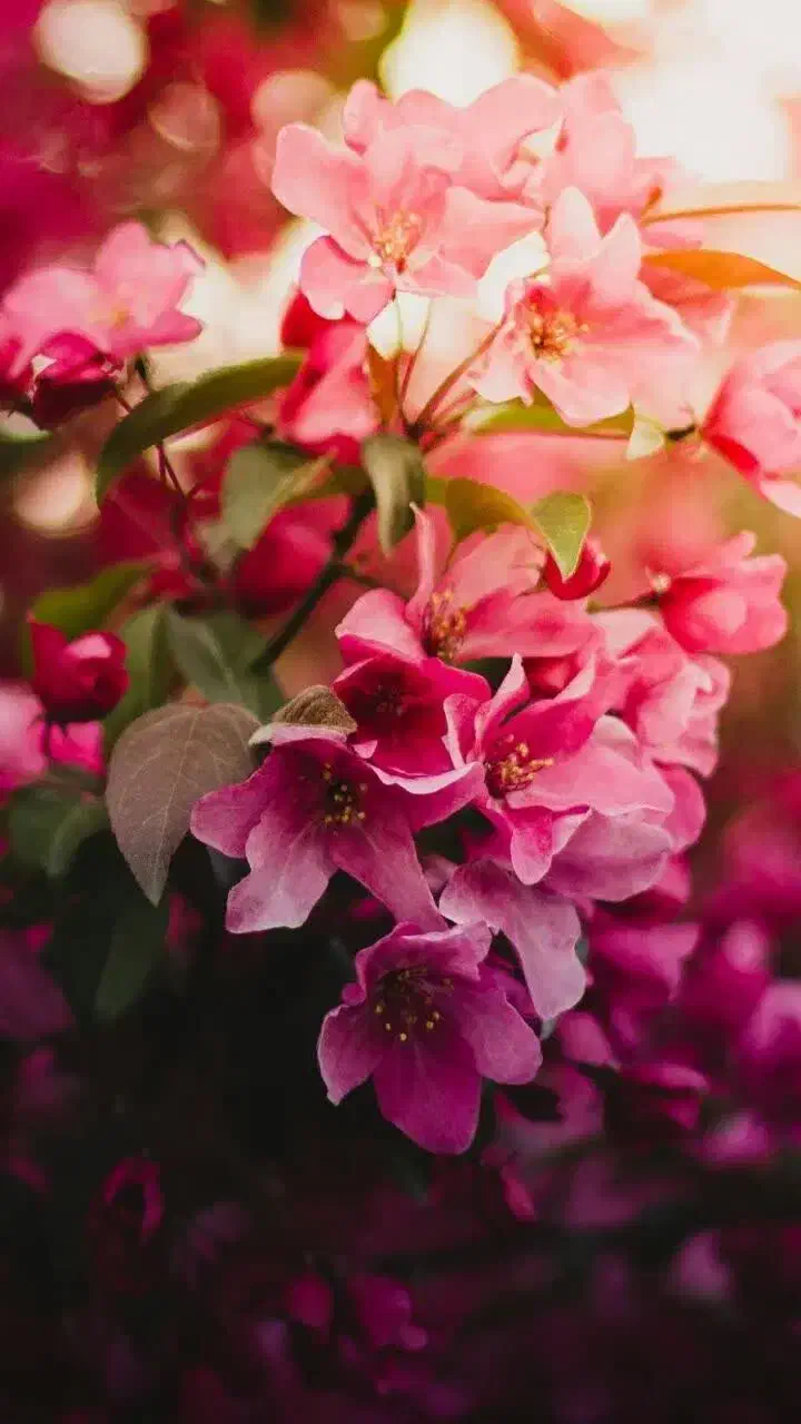 از اهر برای رفتن آزمون تصدی منصب قضا|فعالیت داوطلبانه|اهر, |دیوار