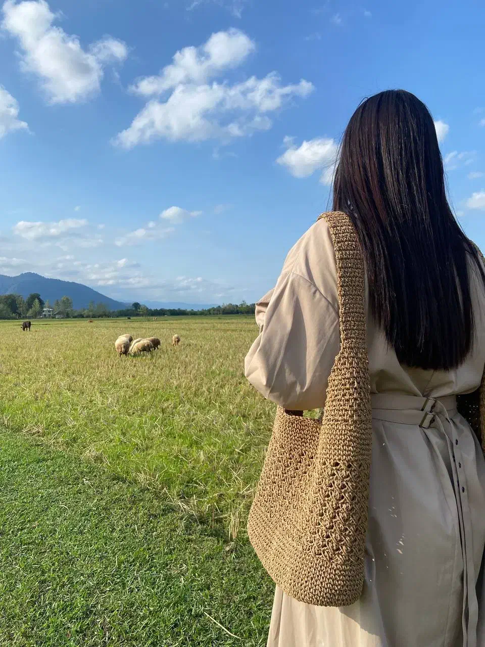 کیف رافیا|کیف، کفش، کمربند|رشت, پیرسرا|دیوار