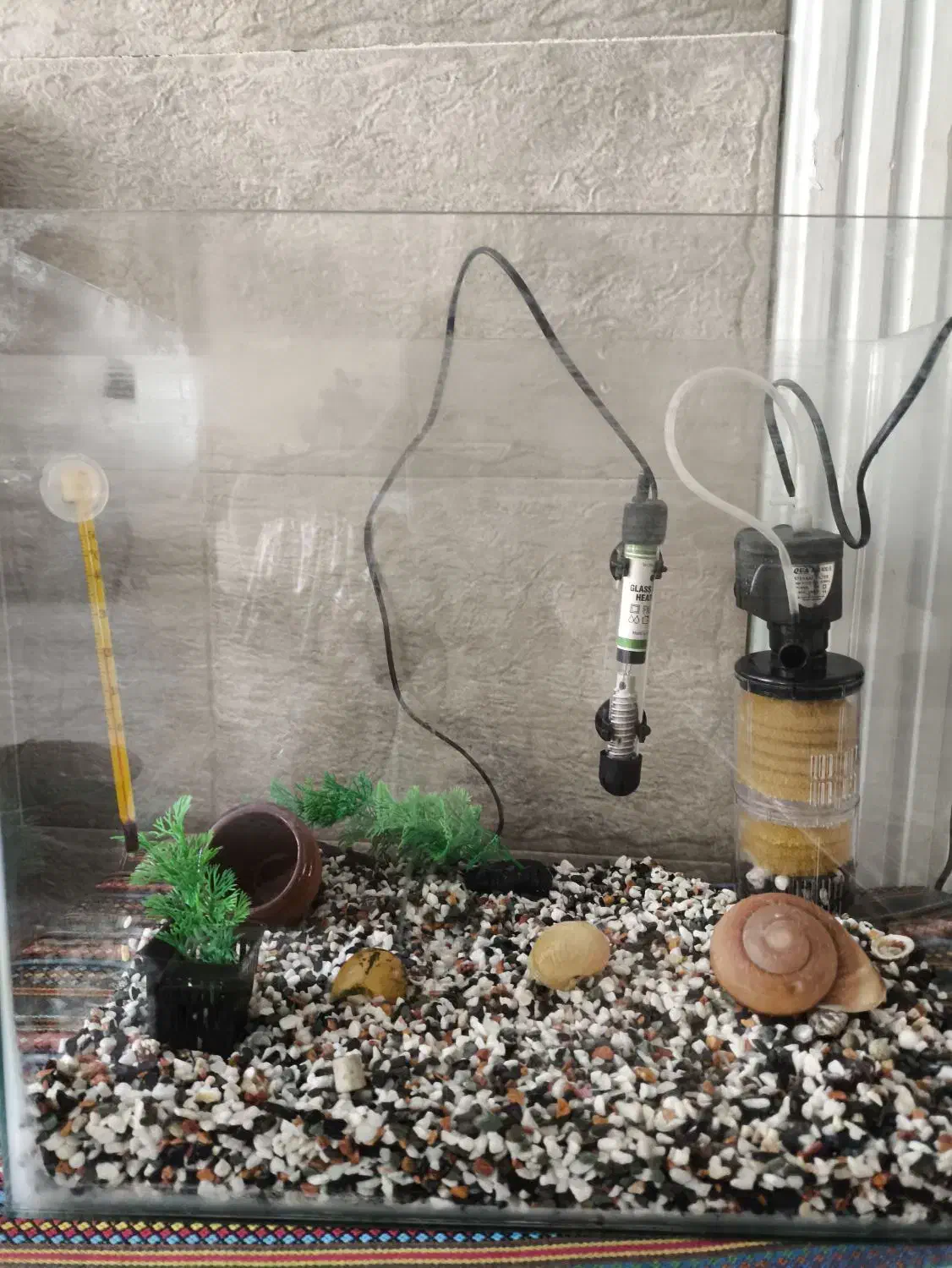 آکواریوم ۶۰لیتر با تمام لوازم نو برای همه نوع ماهی|ماهی|قزوین, |دیوار