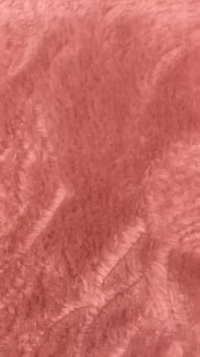 گمشدنه موکت ۵۱متر از روی وانت افتاده‌|موکت|فیروزکوه, |دیوار