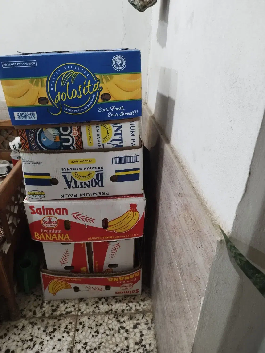 کارتن موزی|مصالح و تجهیزات ساختمان|گنبد کاووس, |دیوار