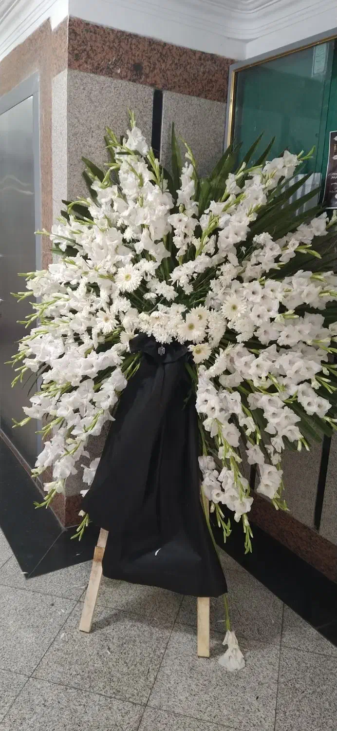 تاج گل|گل و گیاه طبیعی|تهران, فرحزاد|دیوار