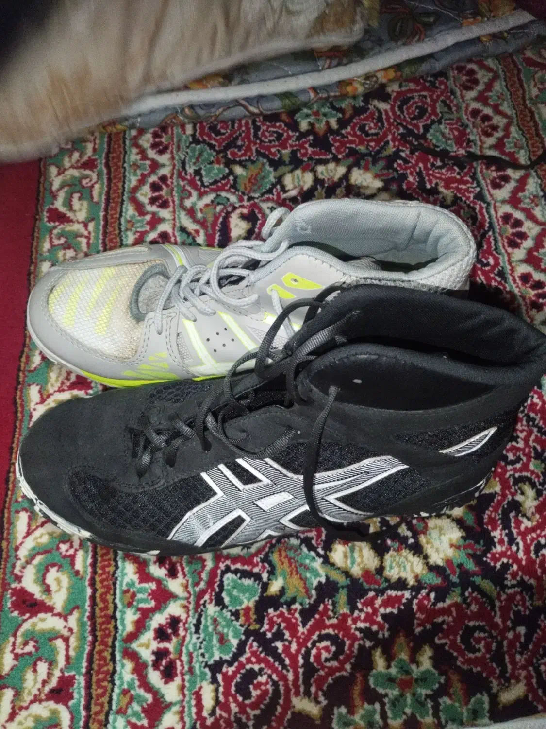 کفش کشتی و والیبال|کیف، کفش، کمربند|یاسوج, |دیوار