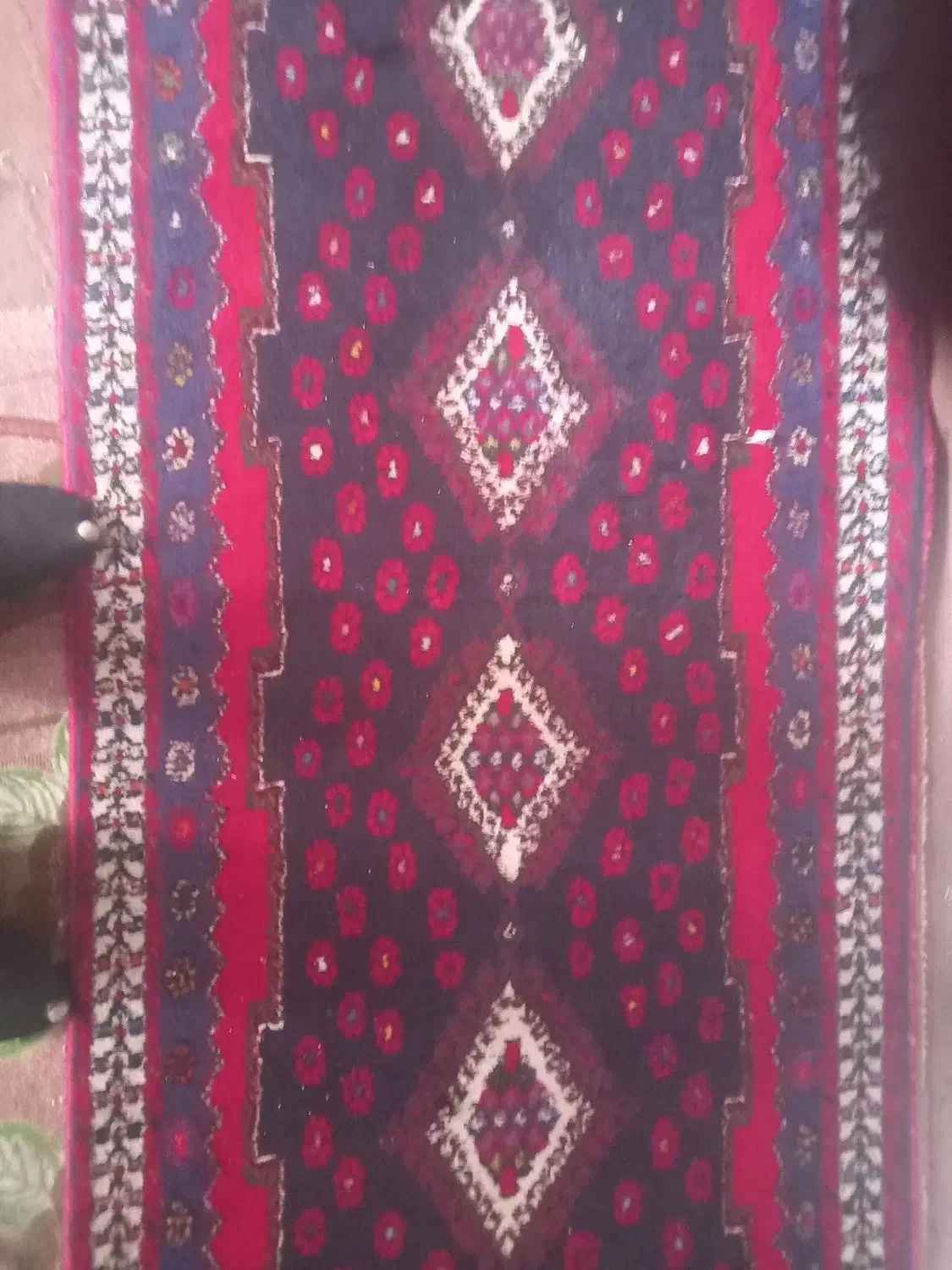 قالی محلی دست باف کناره|فرش|سیرجان, |دیوار