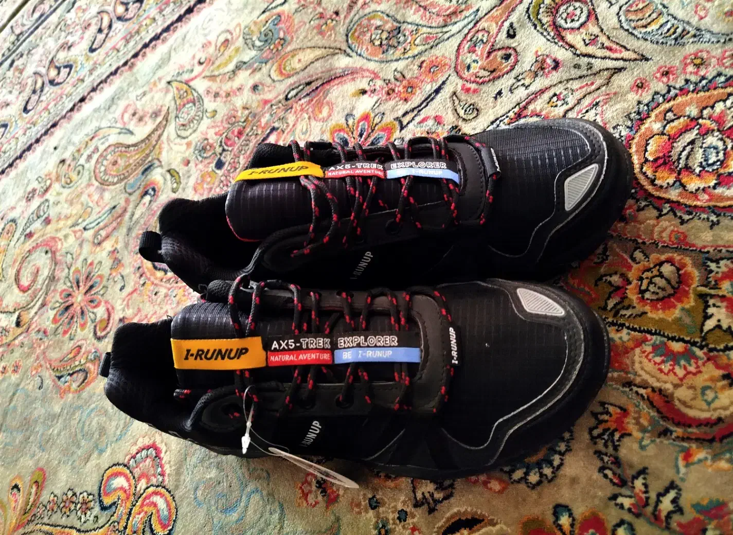 کفش نو|کیف، کفش، کمربند|شهرضا, |دیوار