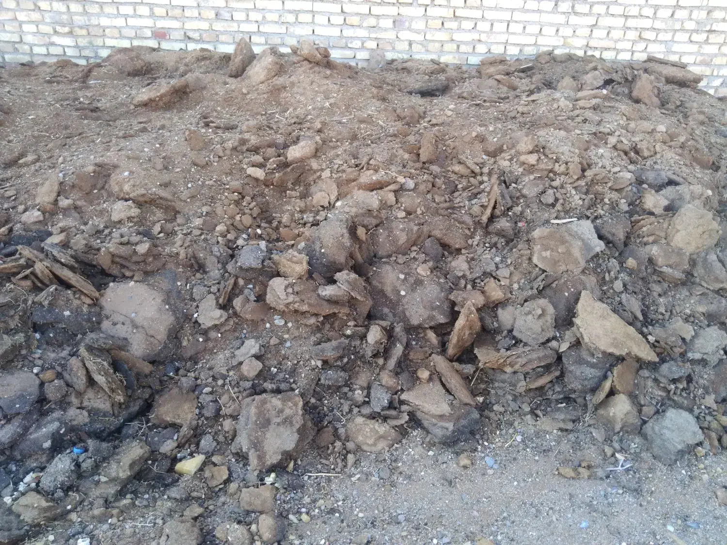 یکی تریلی کدو گوسفند خالص|خدمات باغبانی و درختکاری|مهریز, |دیوار