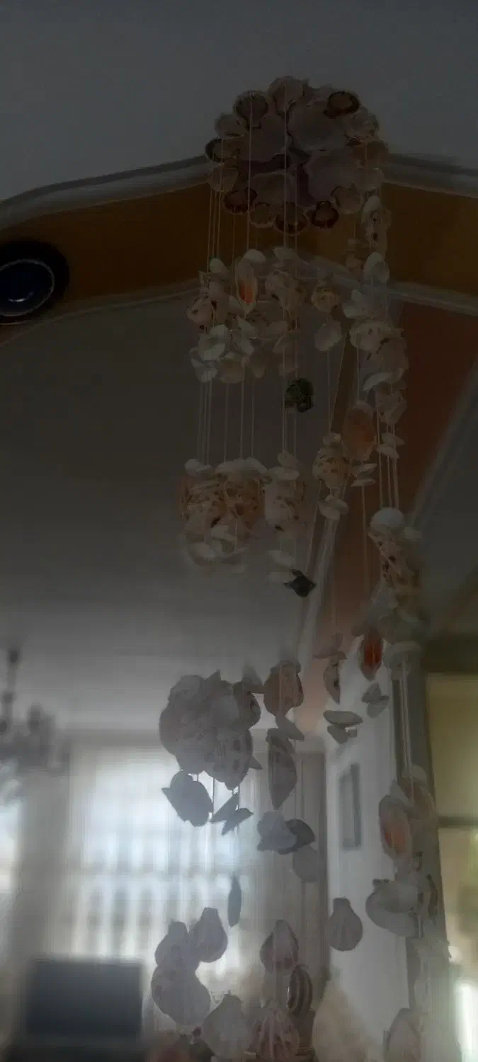 آویز صدف سایز بزرگ .بلند هست|صنایع دستی و سایر لوازم تزئینی|الیگودرز, |دیوار