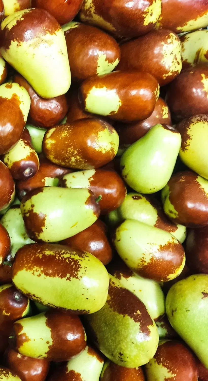 فروش عناب گلابی|خوردنی و آشامیدنی|تهران, فلسطین (میدان انقلاب)|دیوار