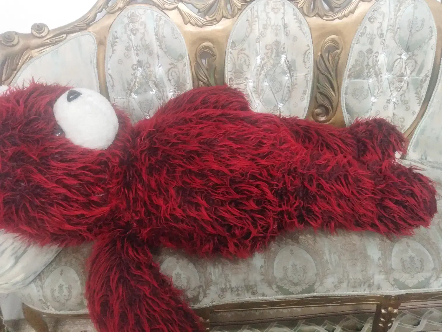 خرس بزرگ|اسباب‌‌بازی|لاهیجان, لیالستان|دیوار