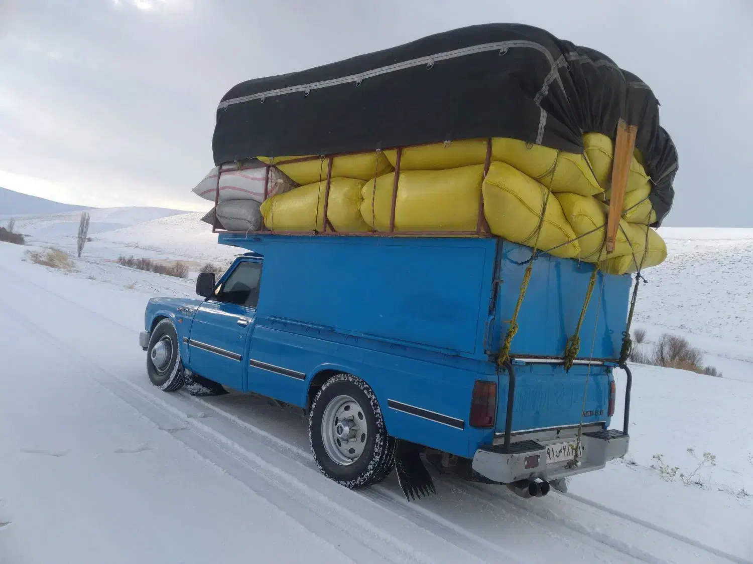 فروش کاه گندم نرم فروش فقط با تریلی وه ده چرخ|حیوانات مزرعه|حسین آباد, |دیوار