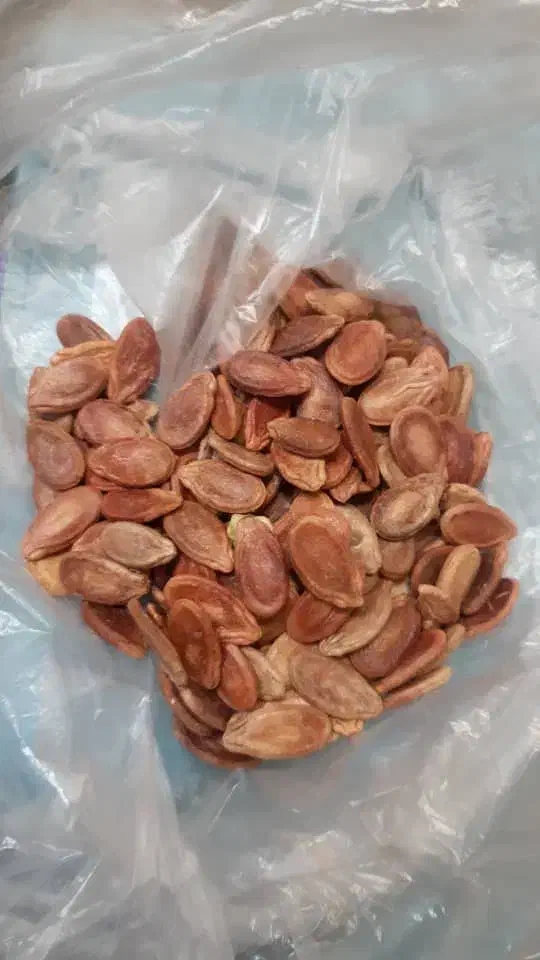 مغز پسته .بنه.بادام. تخمه هندوانه. عناب|عمدهفروشی|قائن, |دیوار