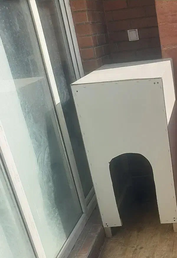 خونه سگ ام دی اف|لوازم جانبی حیوانات|شیراز, ارم|دیوار