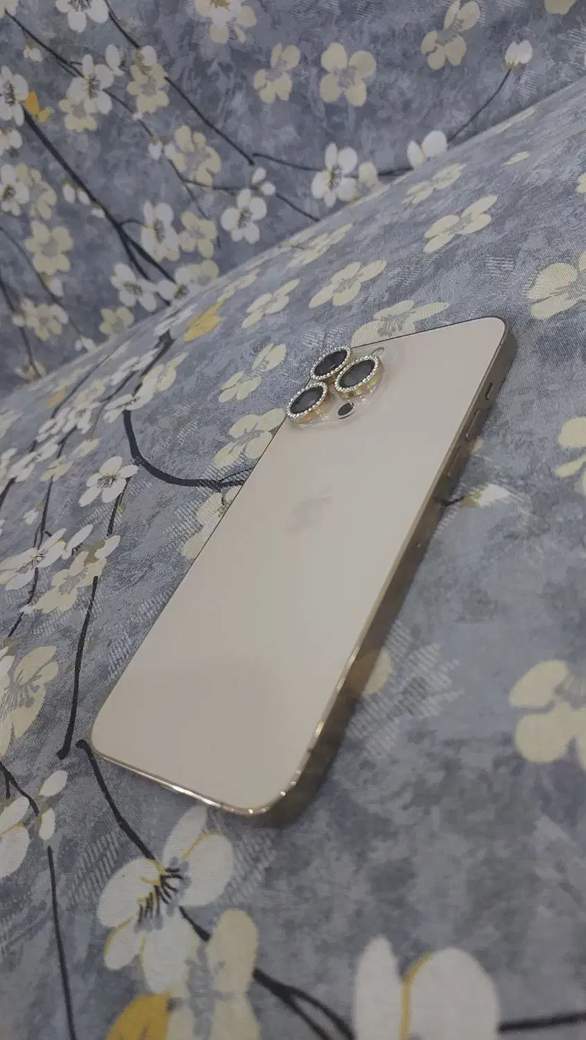 ایفون ۱۳ پروکسی ۵۱۲|موبایل|اهواز, کمپلو شمالی|دیوار