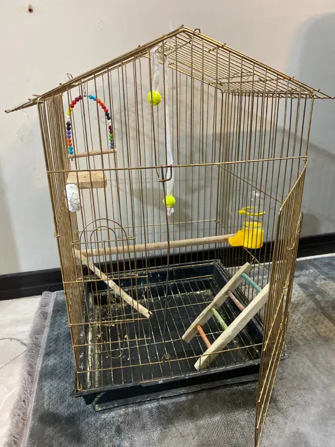 قفس بزرگ|لوازم جانبی حیوانات|اصفهان, ملکشهر|دیوار