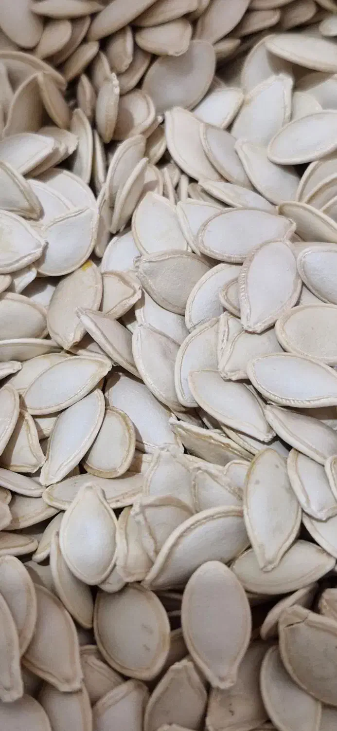 تخمه کدو|خوردنی و آشامیدنی|بهمن صغاد, |دیوار