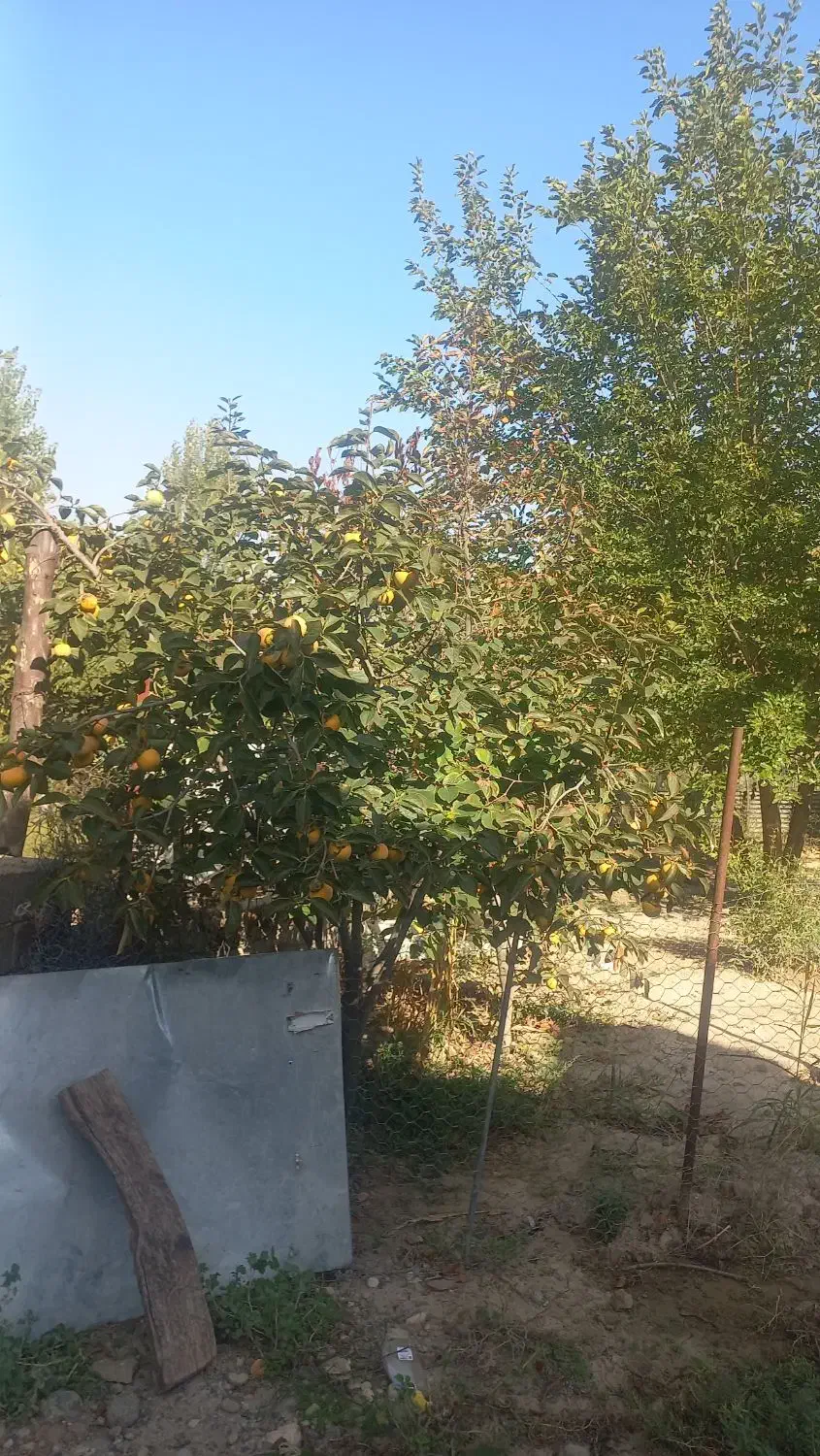 اجاره روزانه، هفتگی خانه ویلایی در شهرستان خدافرین|اجارهٔ کوتاهمدت آپارتمان و سوئیت|منجوان, |دیوار