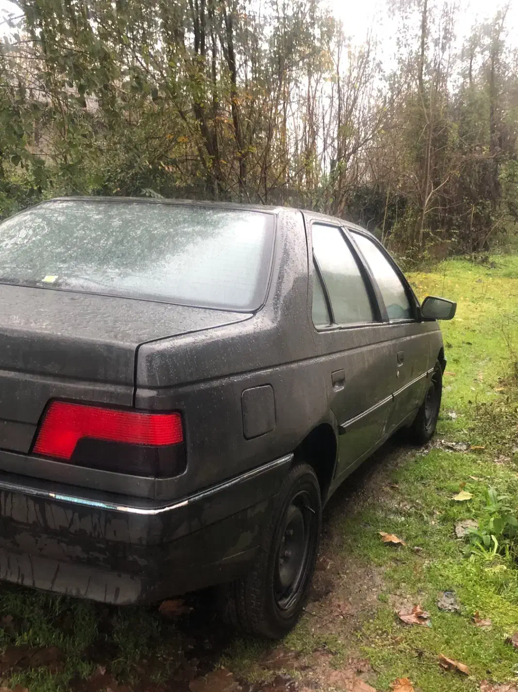 پژو ۴۰۵ بی ضربه مدل ۸۴|خودرو سواری و وانت|رشت, دیلمان|دیوار