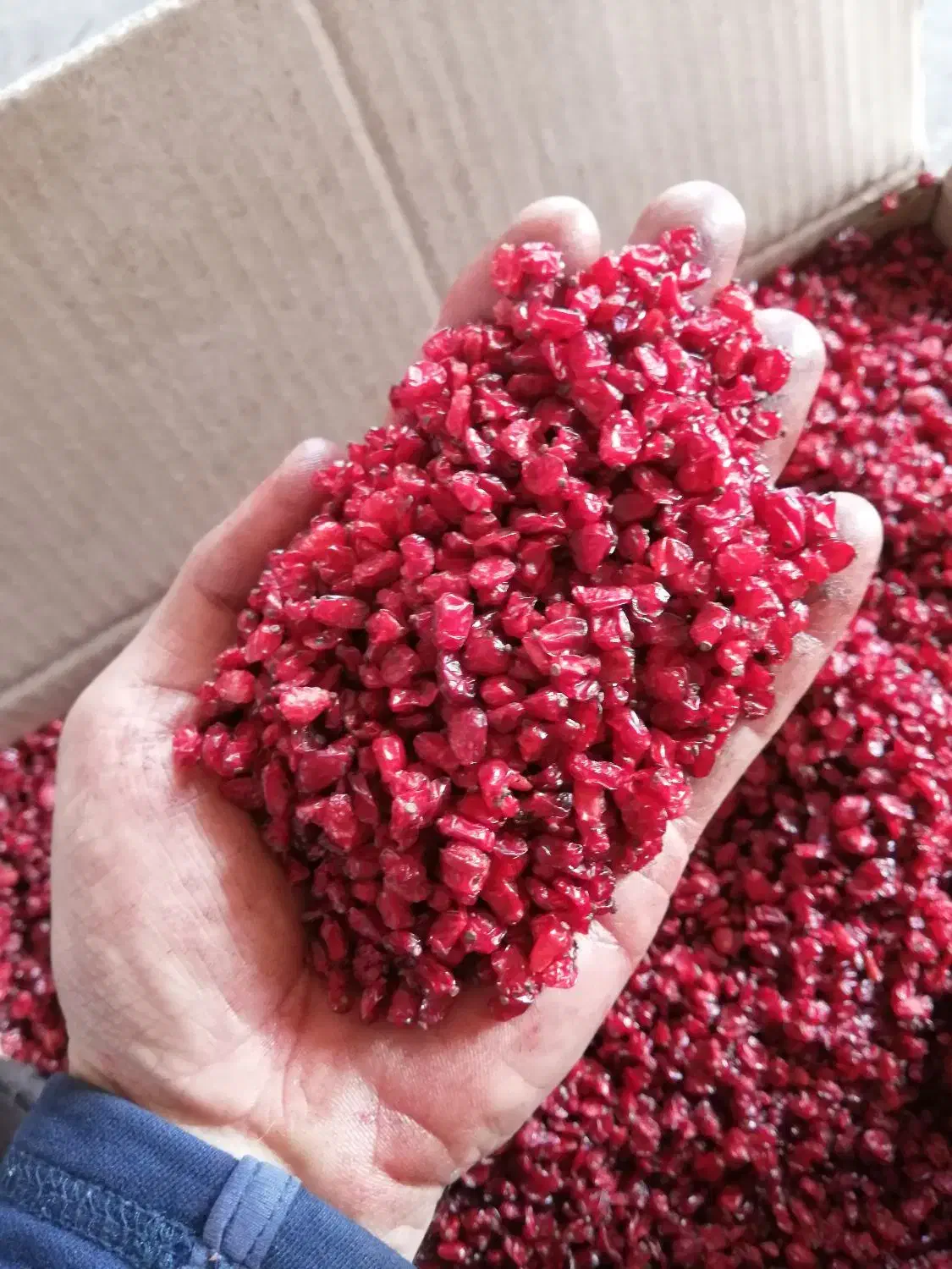 زرشک امسالی (پخش عمده)|عمده‌فروشی|قائن, |دیوار