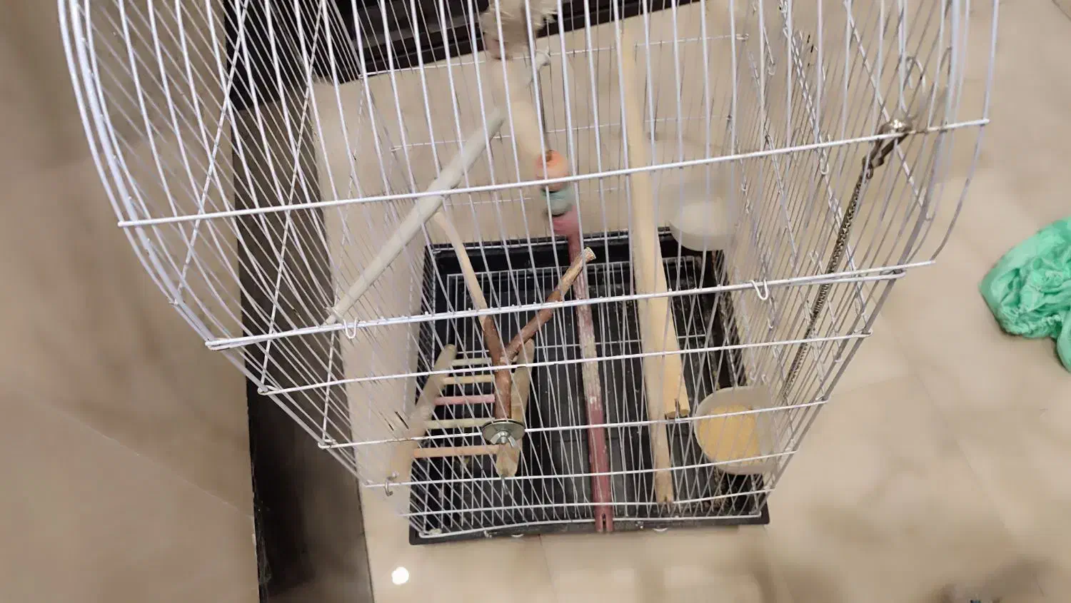 قفس طوطی|لوازم جانبی حیوانات|تهران, شهمیرزادی|دیوار