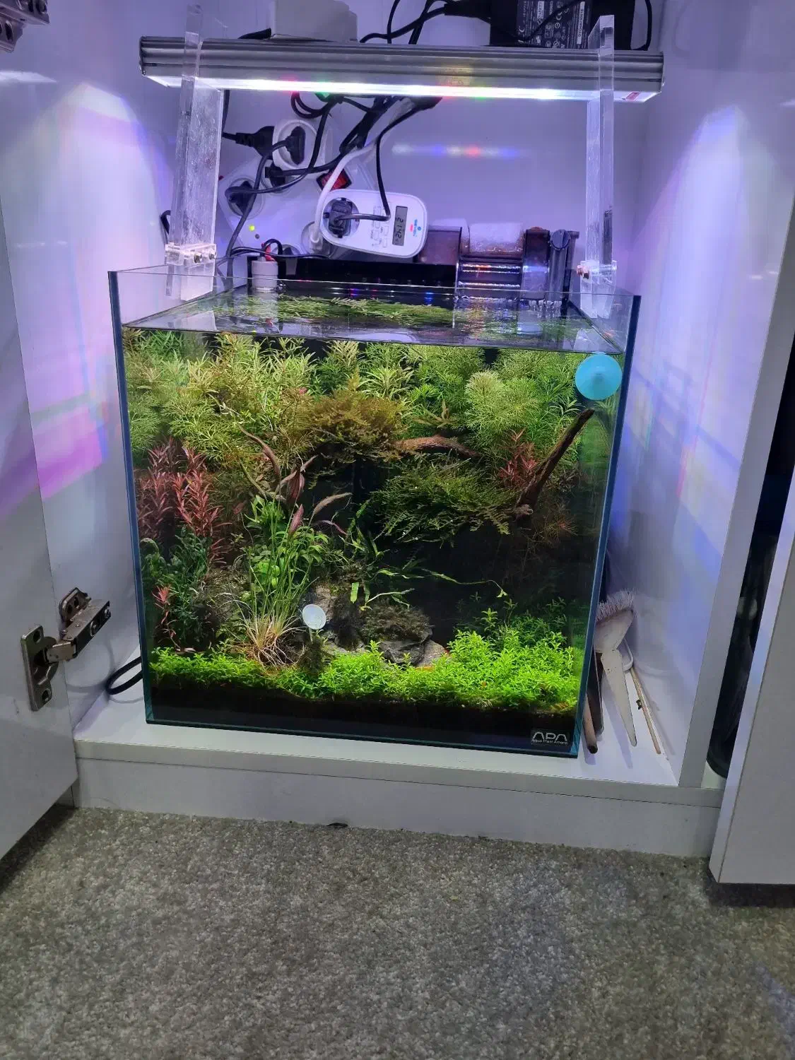 اکواریوم پلنت مجهز ۳۵در ۳۵|ماهی|اهواز, اسماعیلیه|دیوار