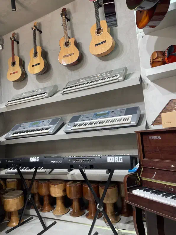 انواع کیبورد مبتدی و حرفه ای|پیانو، کیبورد، آکاردئون|مبارکه, |دیوار