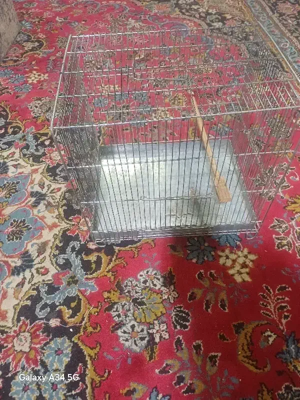 یک عدد قفس غلامی سایز۳|لوازم جانبی حیوانات|تهران, شمس‌آباد|دیوار