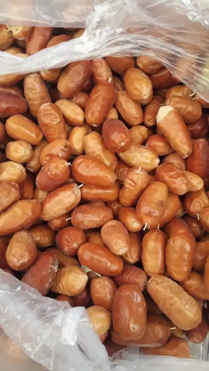 سنجد تازه تازه برداشت امسال|عمدهفروشی|خنداب, |دیوار