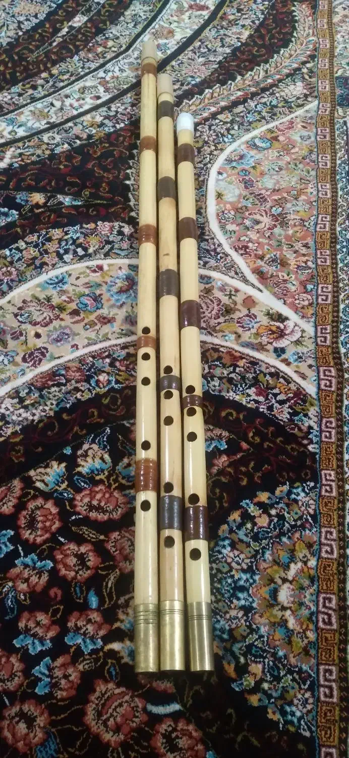 فروشی|سازهای بادی|اندیمشک, |دیوار