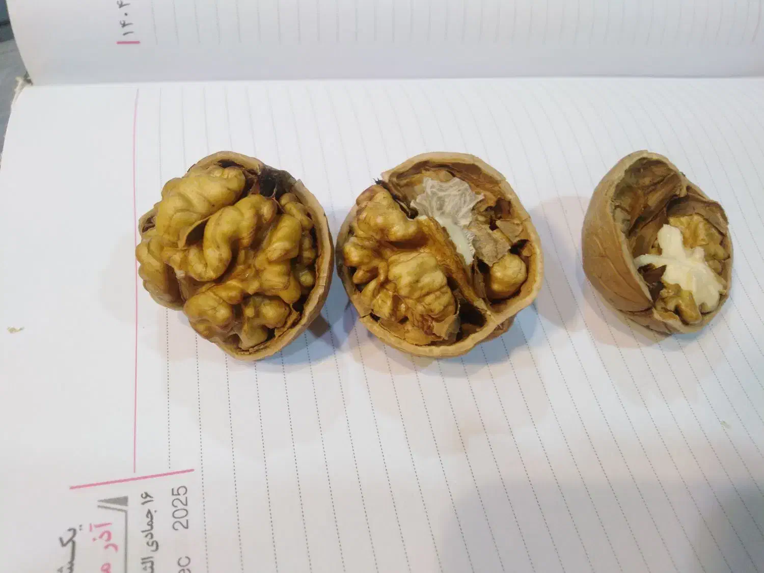 خرید بدون واسطه گردو|خوردنی و آشامیدنی|تهران, شارق|دیوار