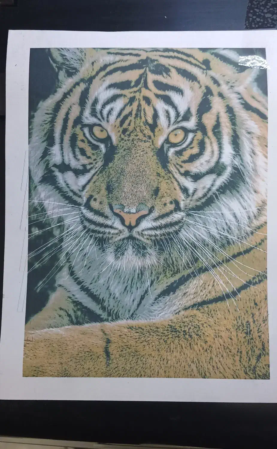 پرینتر اپسون l805استوک|پرینتر، اسکنر، کپی، فکس|سنندج, |دیوار