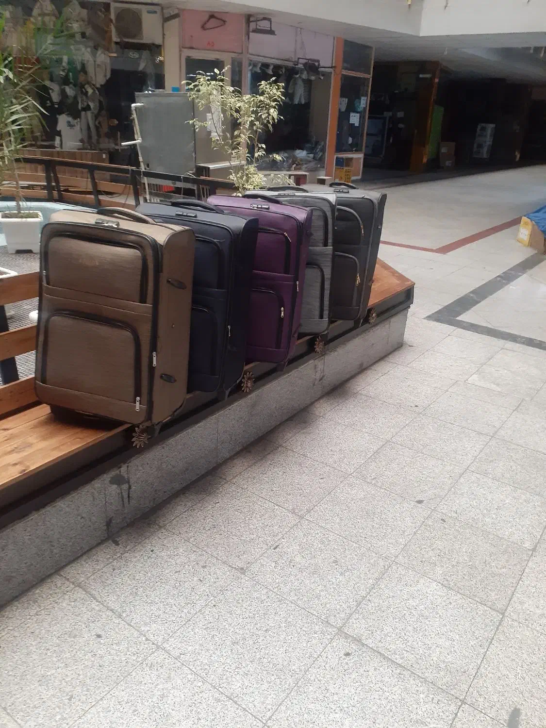 چمدان|کیف، کفش، کمربند|تبریز, |دیوار