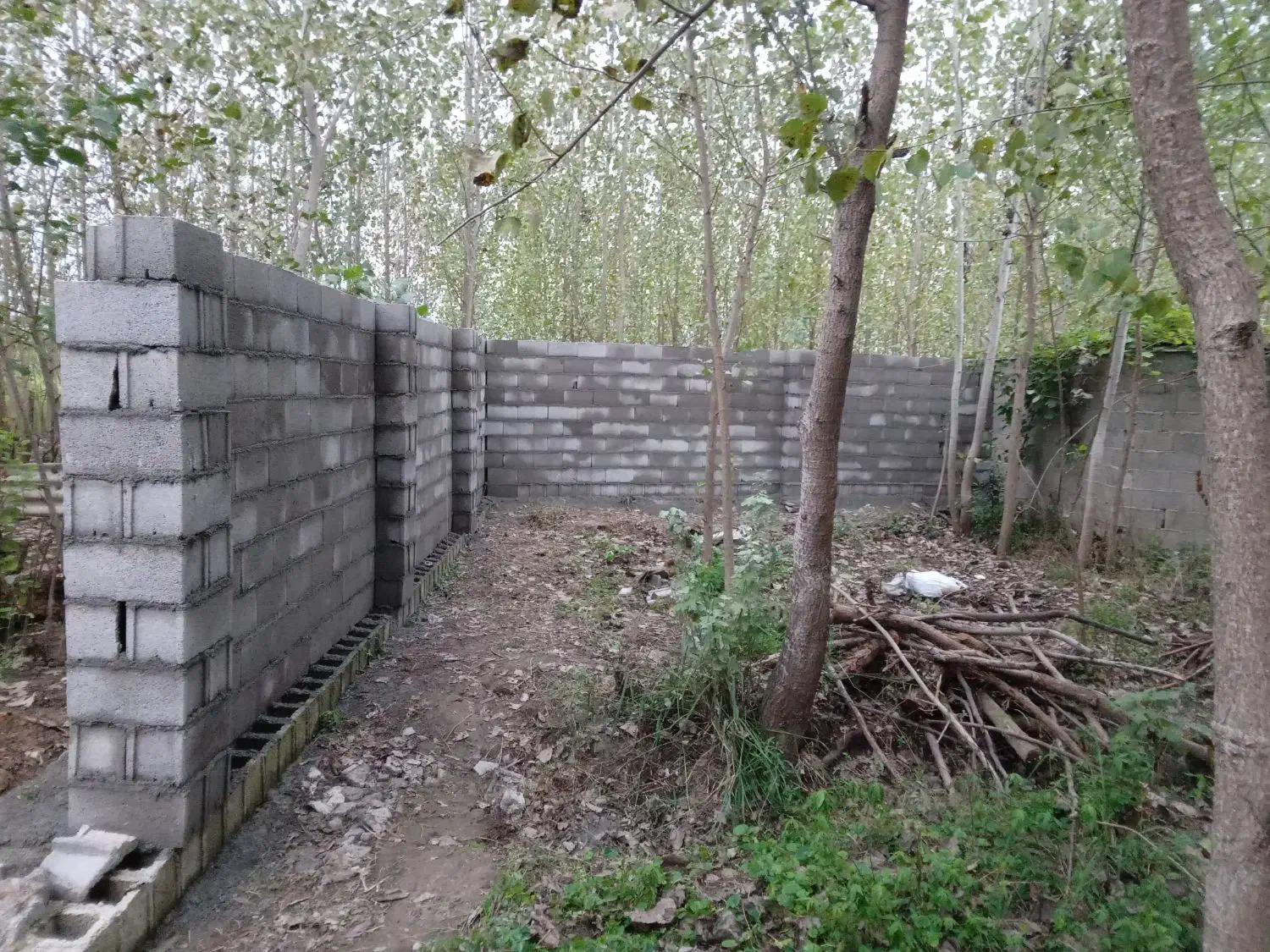 خدمات بنای تمامی کارهای بنای به همراه اکیپ|خدمات پیشه و مهارت|صومعهسرا, |دیوار