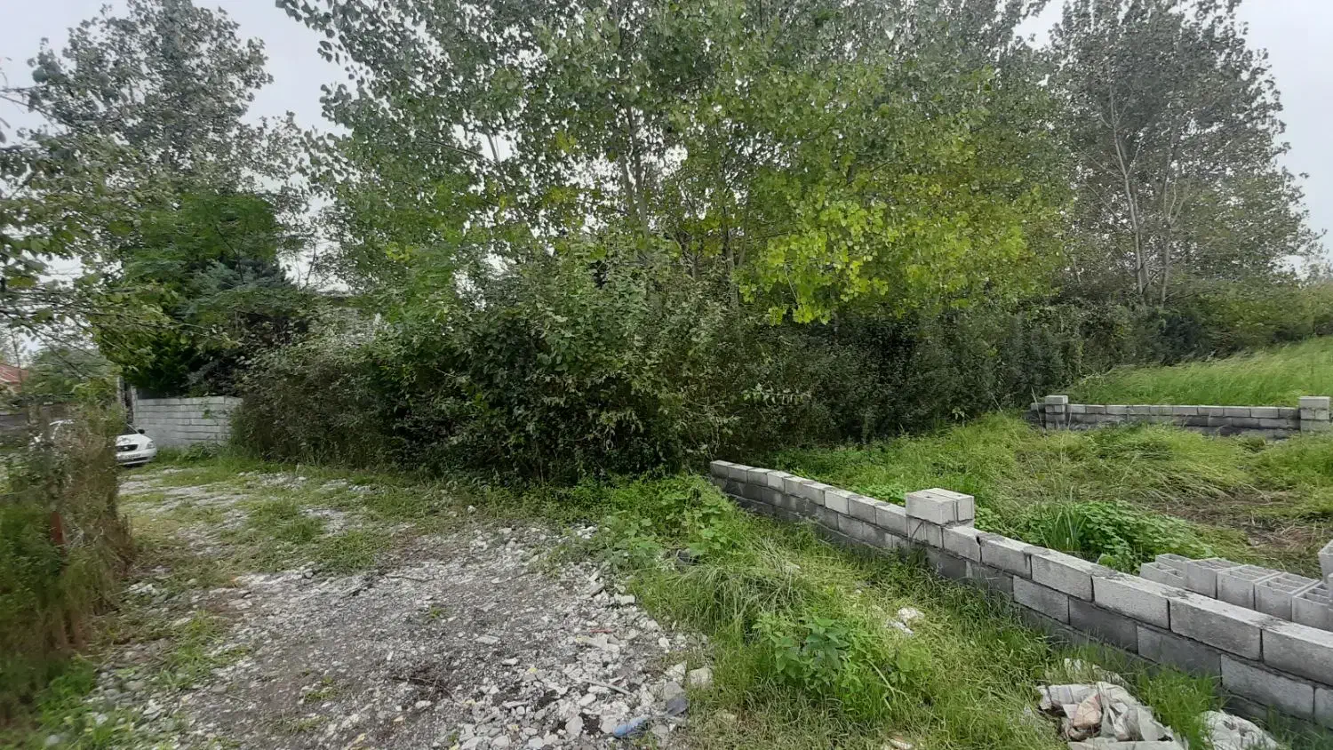 فروش زمین خوش قواره رودپشت|فروش زمین و ملک کلنگی|نشتارود, |دیوار