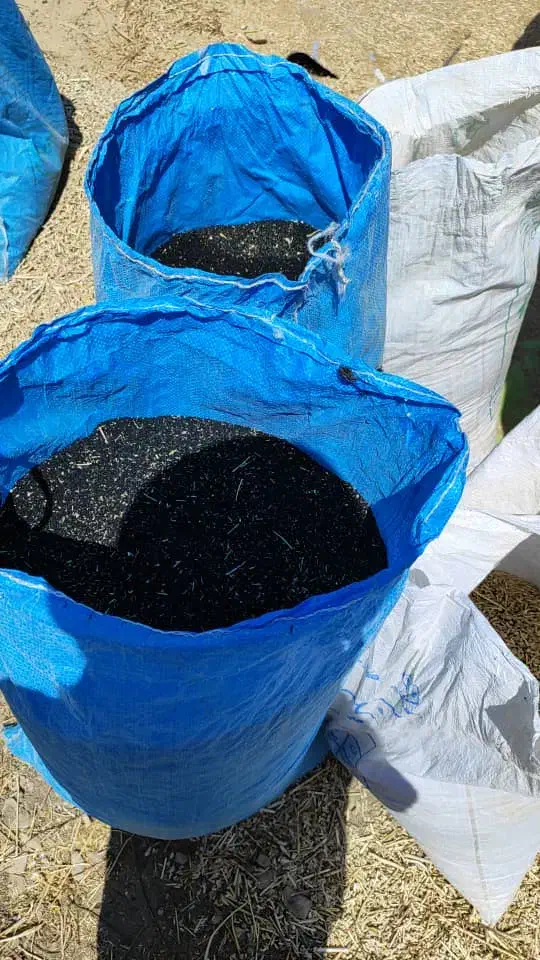 سیاه دانه|خوردنی و آشامیدنی|سپیدار, |دیوار