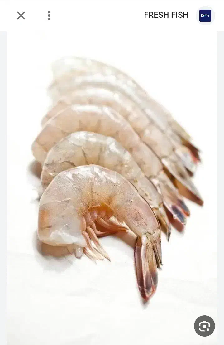 میگو صادراتی پوست گیری و رگ گیری شده درجه یک|خوردنی و آشامیدنی|جلین, |دیوار