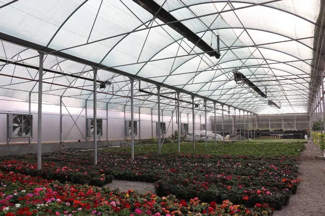 گرمایشی تابشی گلخانه و سالن صنعتی|ماشینآلات صنعتی|مشهد, گوهرشاد|دیوار