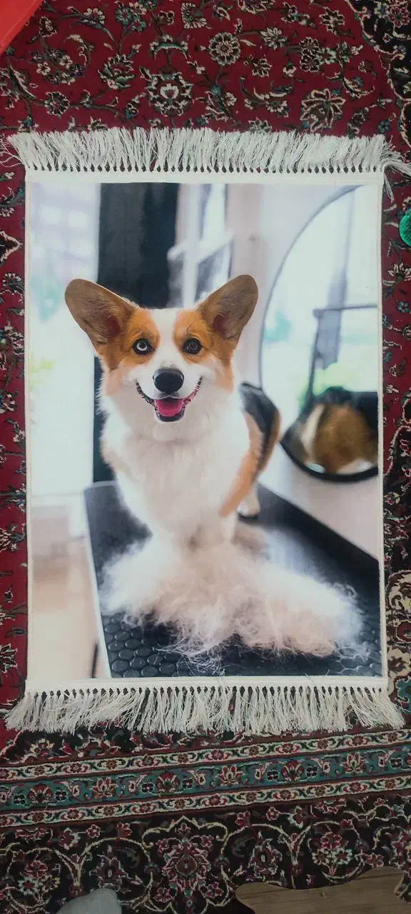 تابلو فرش چهره رویال|تابلو فرش|چهارباغ, |دیوار