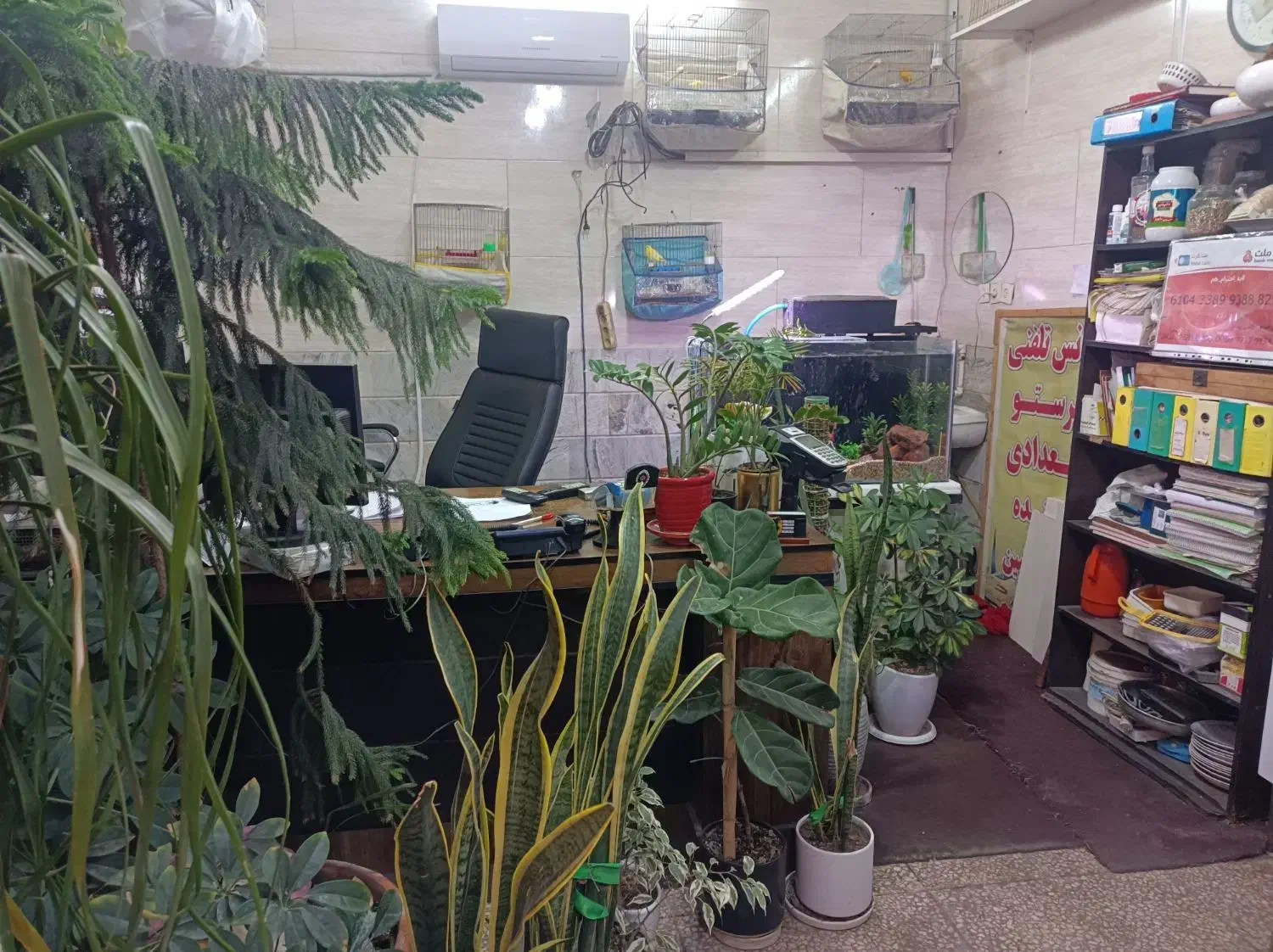 تاکسی تلفنی پرستو|استخدام حمل و نقل|قم, قلعه یزدیها|دیوار