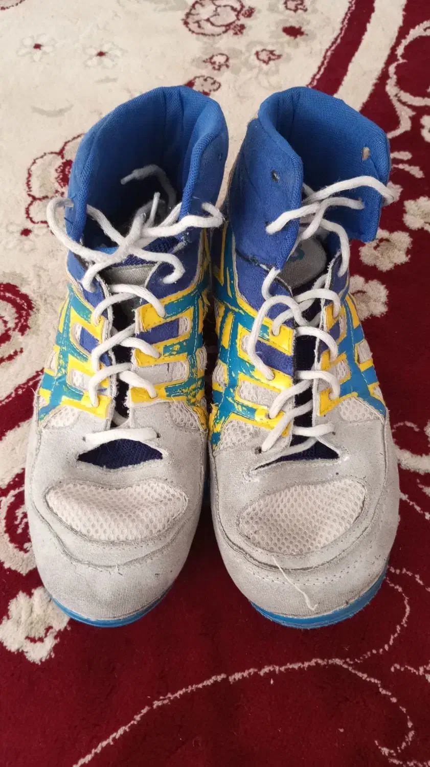 کفش کشتی نو|کیف، کفش، کمربند|قم, سید معصوم|دیوار