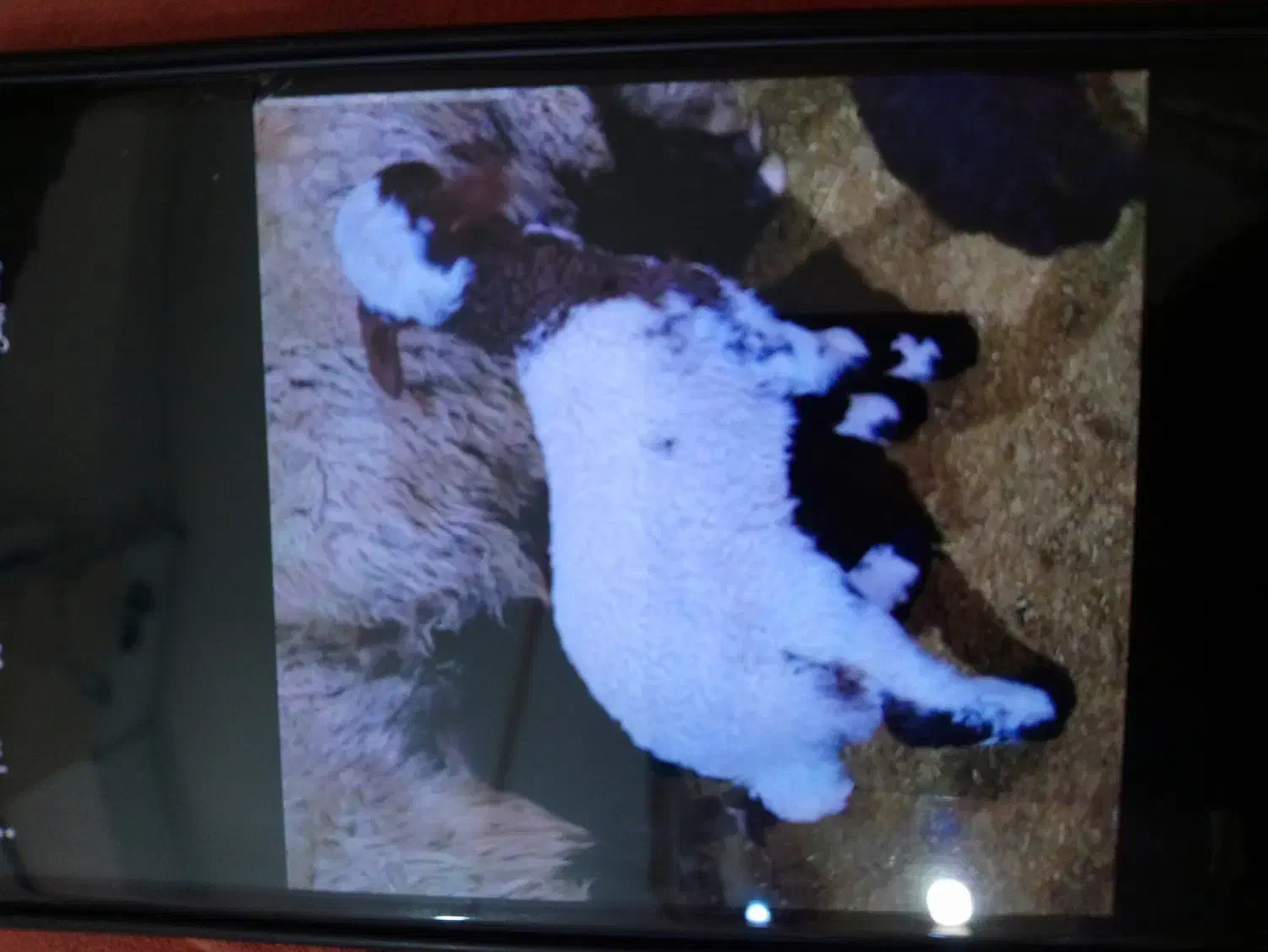 کارگر دامداری|استخدام سرایداری و نظافت|ملکآباد, |دیوار