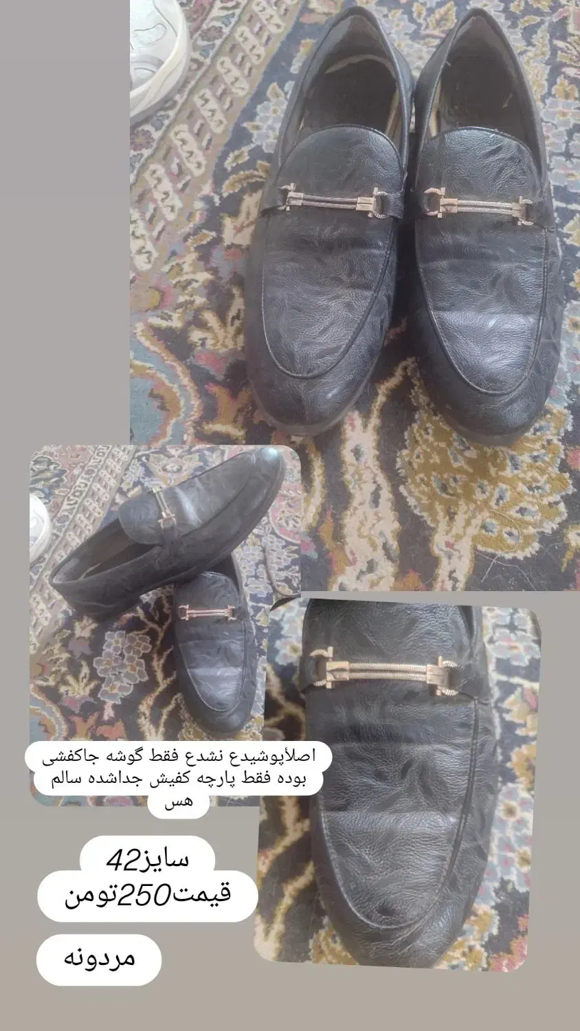 کفش|کیف، کفش، کمربند|نیشابور, مازول|دیوار