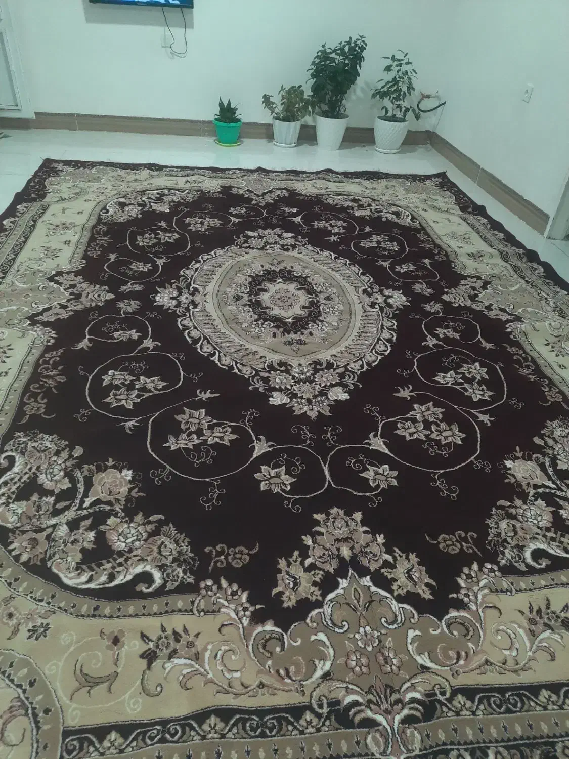 دو تخته فرش ۱۲متری|فرش|کارزان, |دیوار