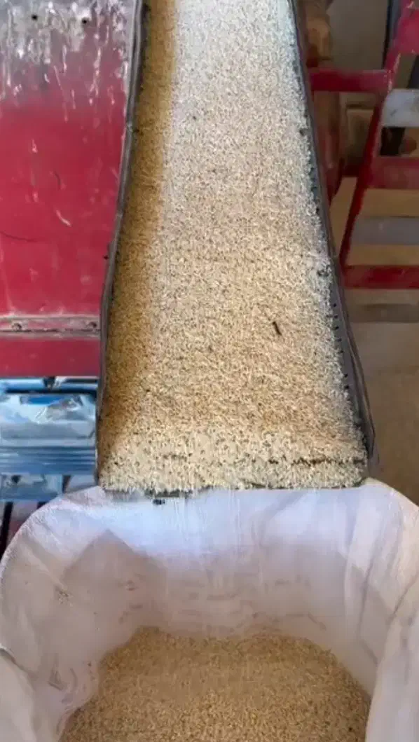 برنج تازه شرطی|خوردنی و آشامیدنی|شوش, |دیوار