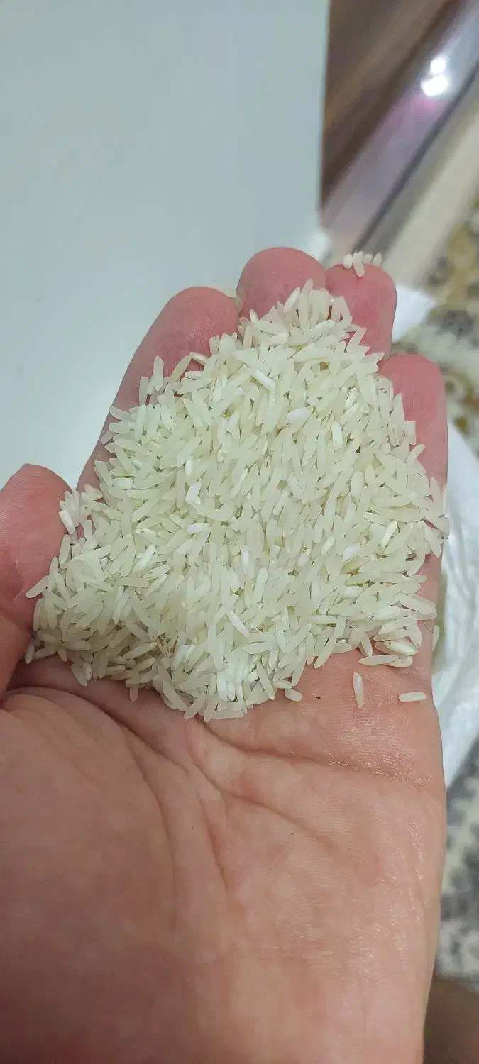 برنج هاشمی 260|خوردنی و آشامیدنی|واجارگاه, |دیوار