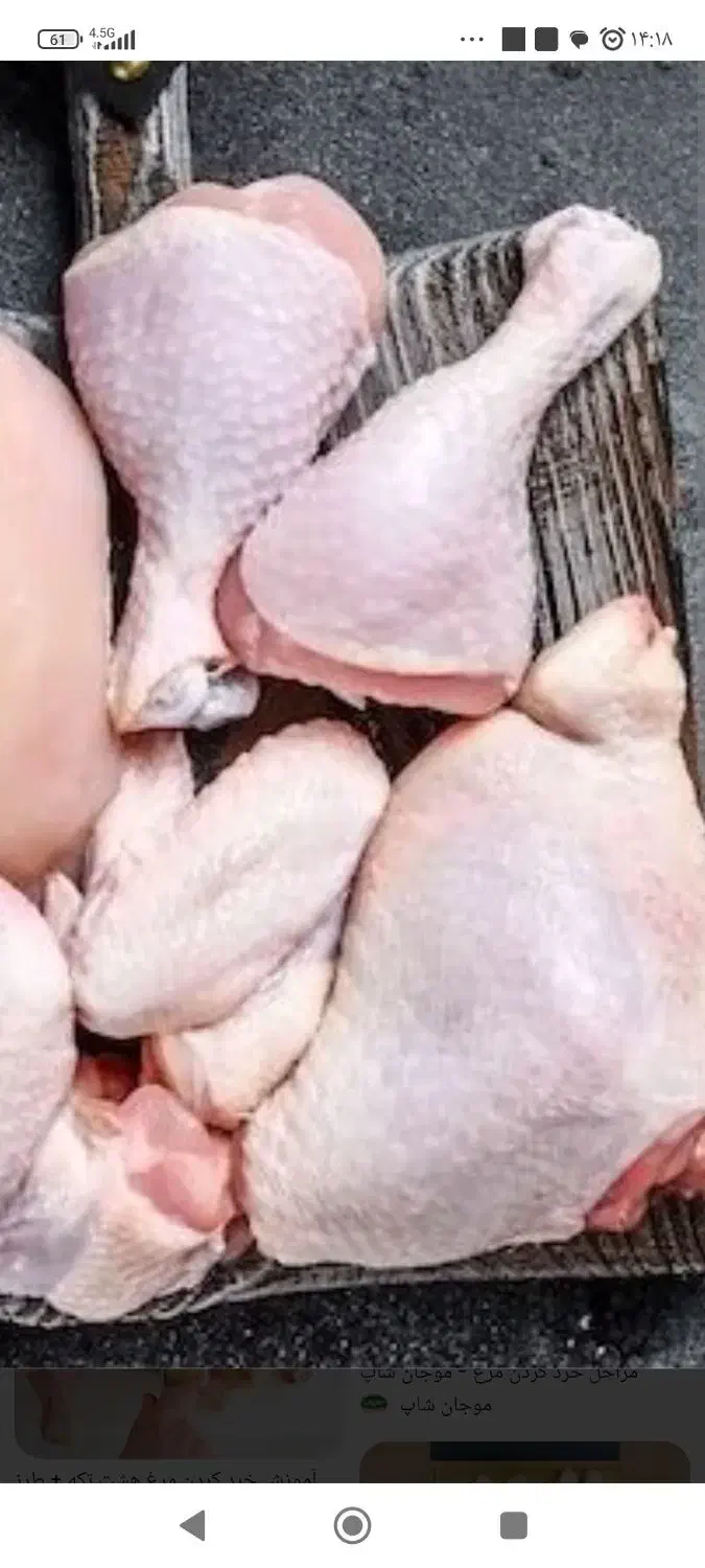 کاگرساده|خدمات نظافت|قزوین, |دیوار