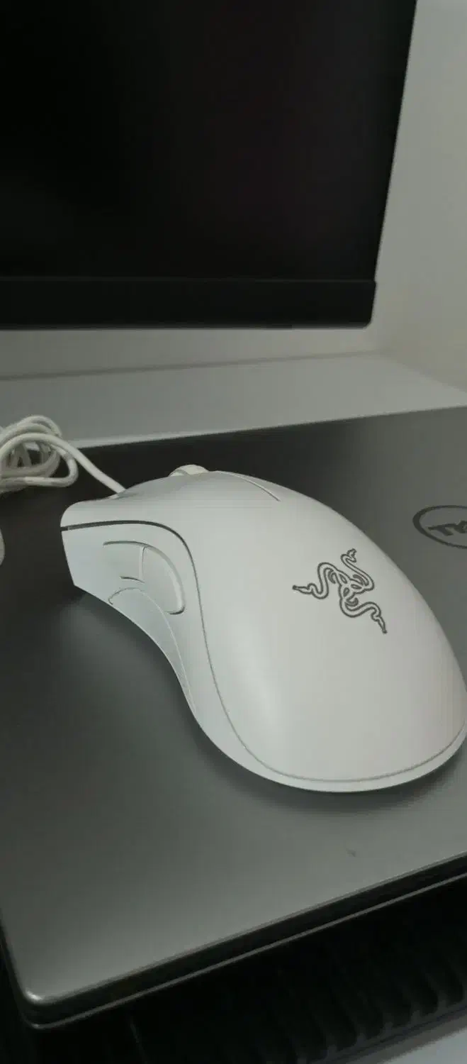 موس Razer deathadder essential white edition|قطعات و لوازم جانبی رایانه|سنندج, |دیوار