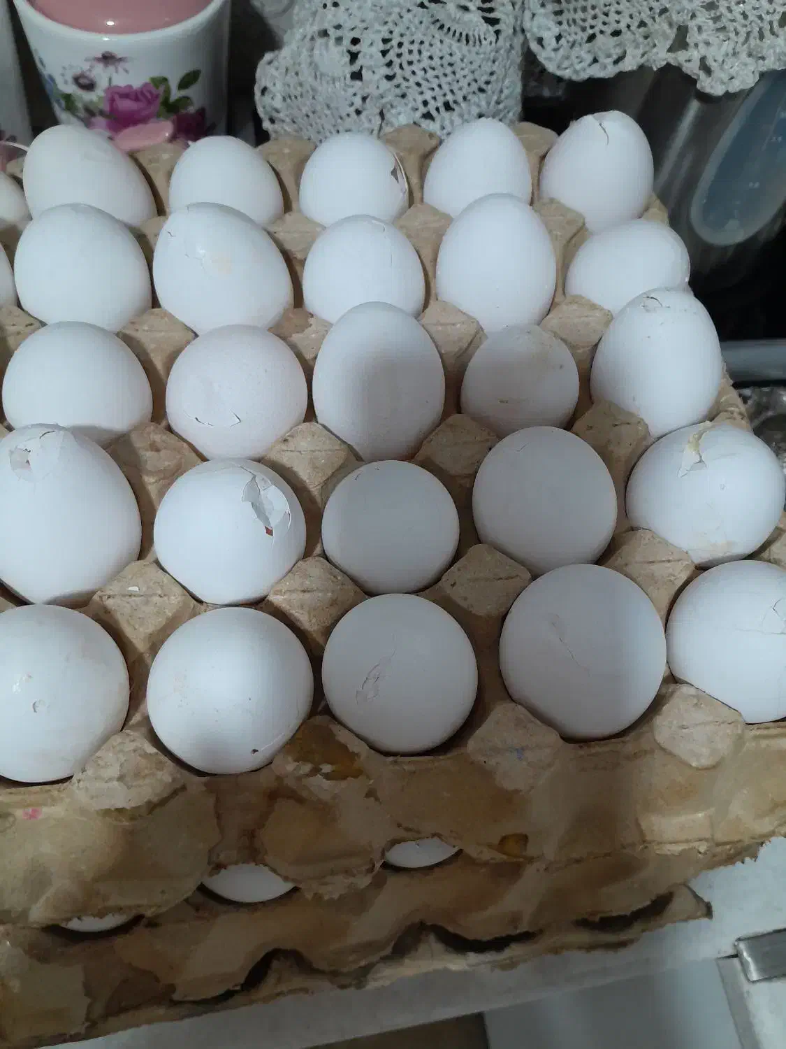 تخم مرغ|خوردنی و آشامیدنی|قم, انصار‌الحسین|دیوار