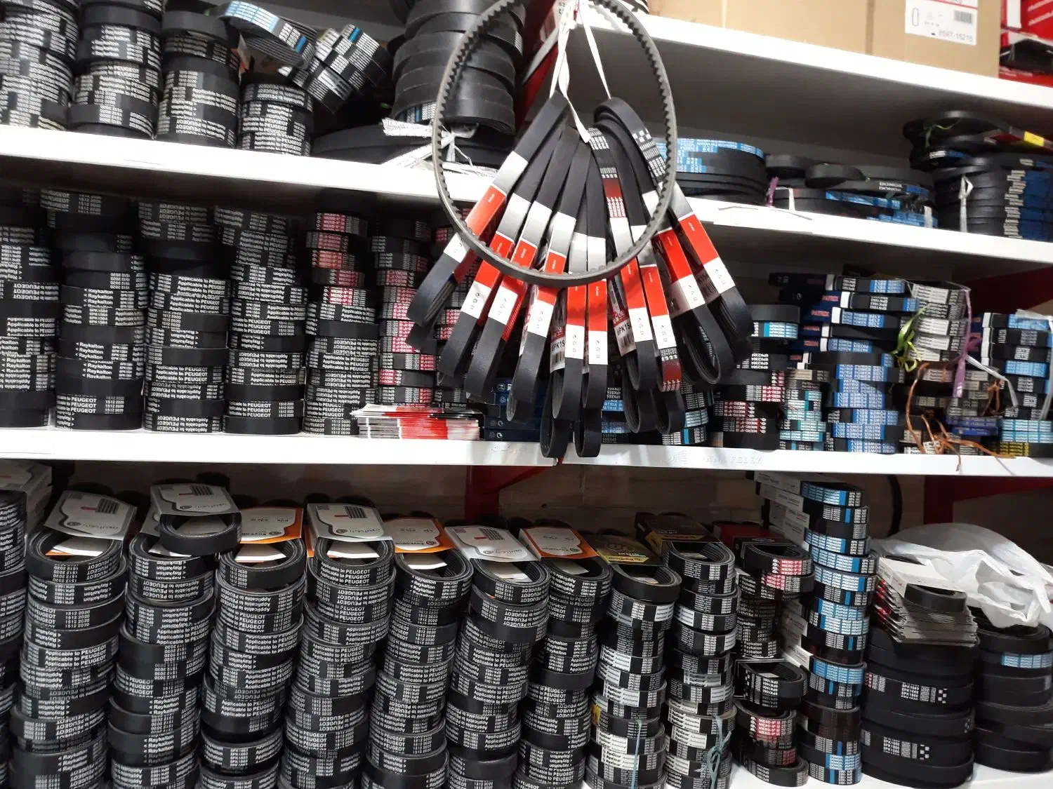 انواع تسمه دینام و کولر وتایم خودرو برندهای مختلف|قطعات یدکی و لوازم جانبی|تهران, سهروردی|دیوار